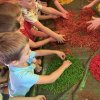 Sensoryczny pejzaż jesienny
